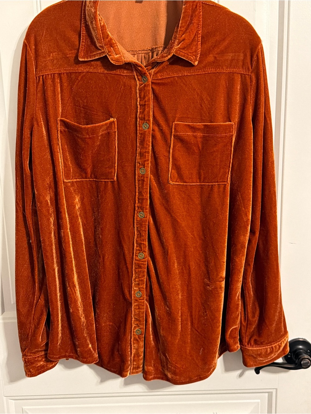 Umgee Velvet Long Sleeve Rust Button Blouse. Women's Size 1X